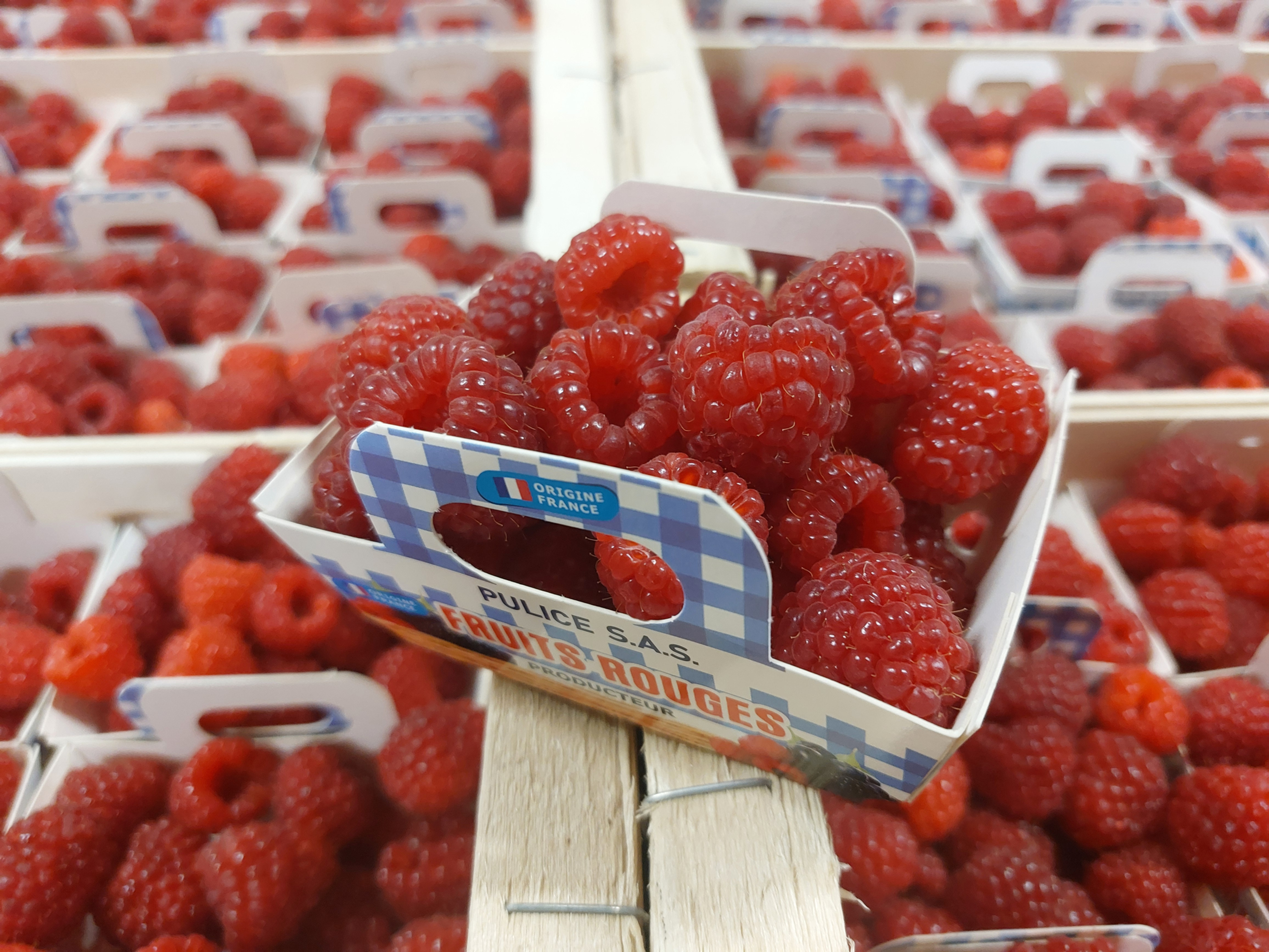 Framboise - 125g