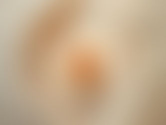 🌼 Newsletter – Mars 2026