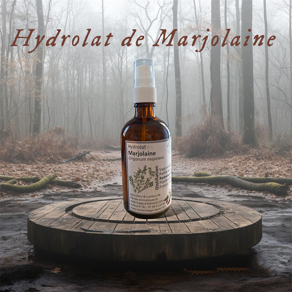 Miniature : Hydrolats Immortelle  Bio 100ml