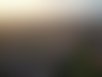 Essential Strategies for Profitable Property Investments