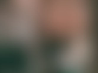 The Importance of Franchise Financing