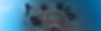 Video Replacement - Rehaan's 360 Vid - Frame Grab.jpg