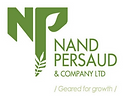 nand persaud.png