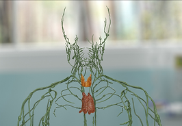 Lymphatic Bowen