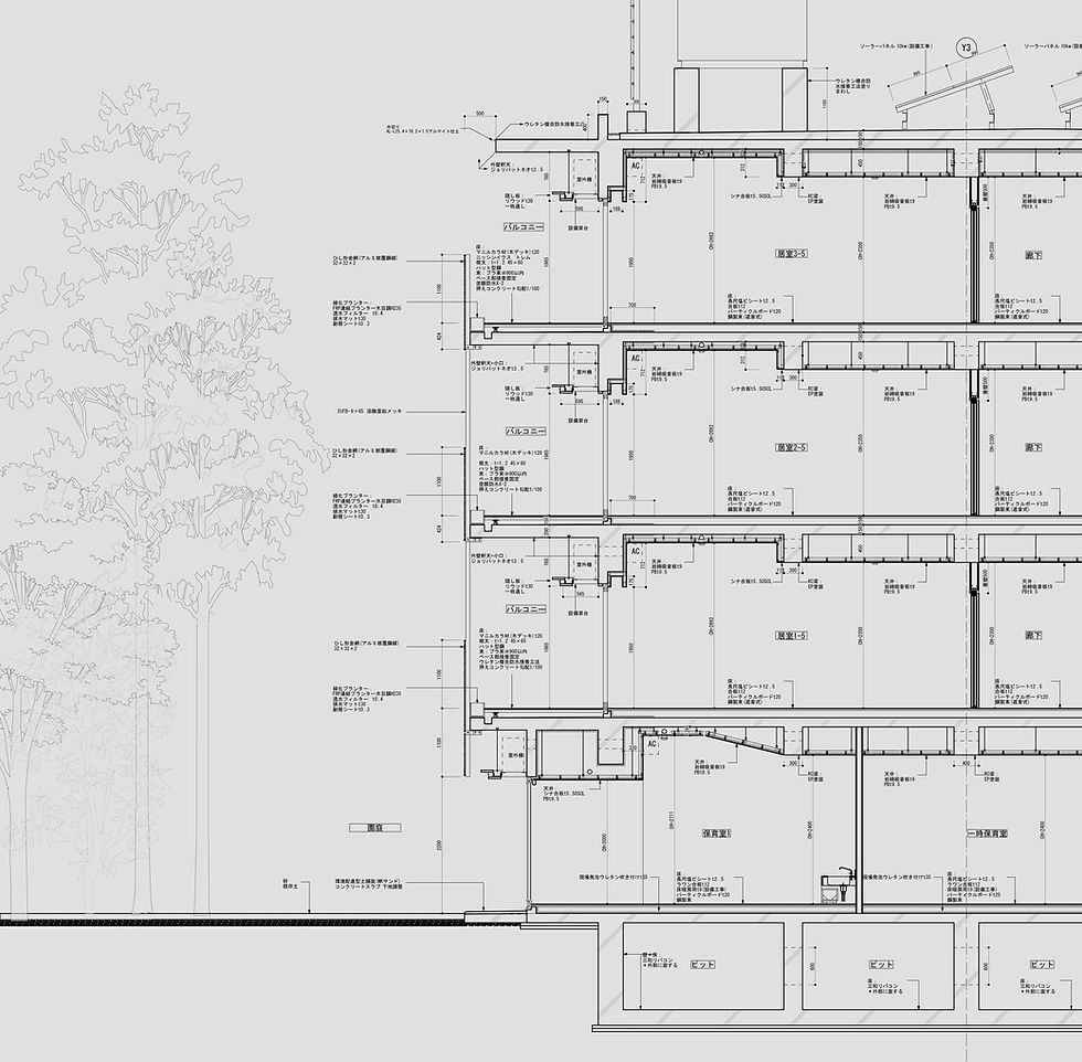 seijo_section.jpg