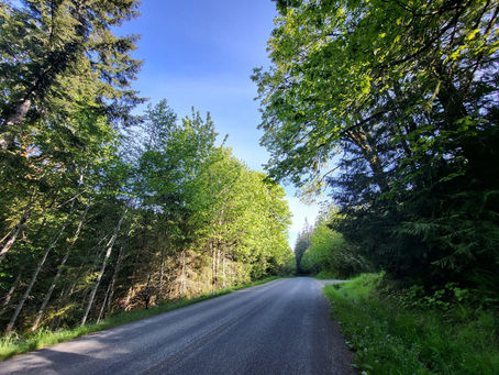 Cross Country 2023: Day 2