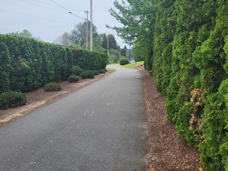 Cross Country 2023: Day 5 Lynnwood to North Bend