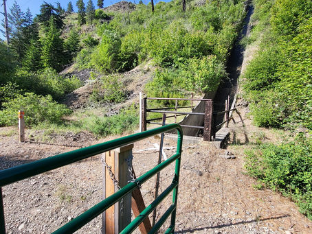 Cross Country 2023 Day 8: Ponderosa to Wanapum State Park