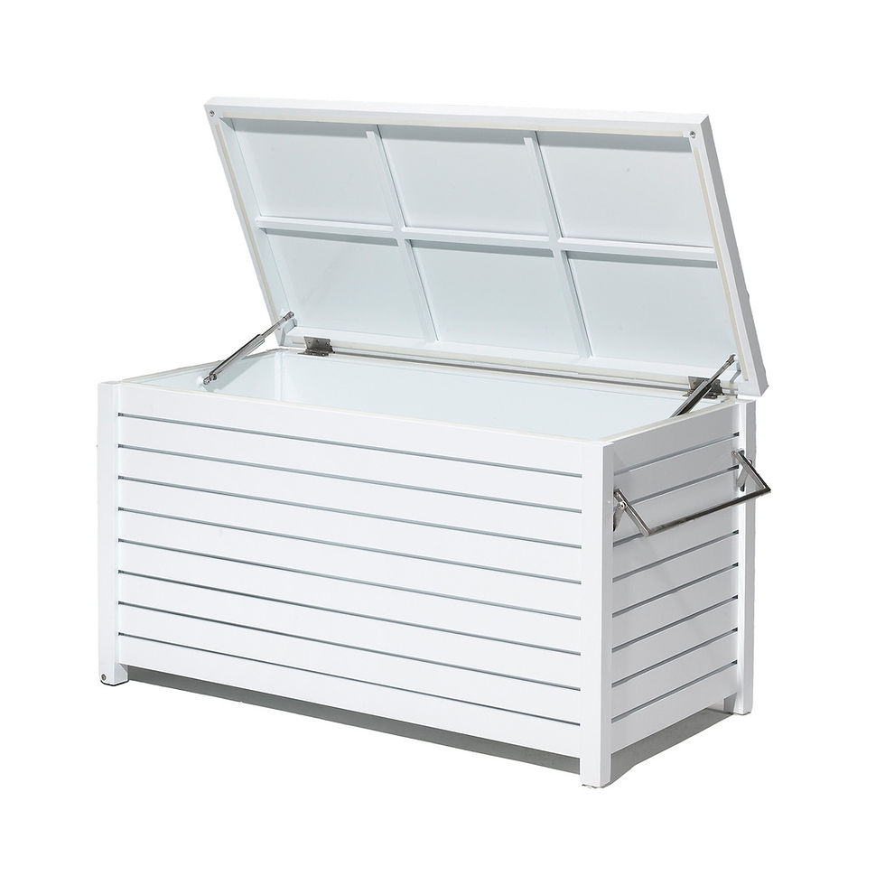 DYNBOX 03