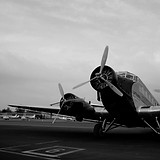 junkers_500.jpg