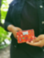 small coin wallet for women with red floral print