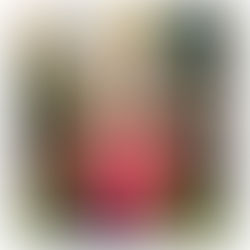 HATS - Empowering Futures in Accounting: Hands-on Accounts Training with Spreadsheets + Zoho Books + Tally Prime Certification