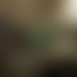 A Journey from Handwritten Ledgers to a Paperless Office: My Experience at Muscat Electronics Co LLC