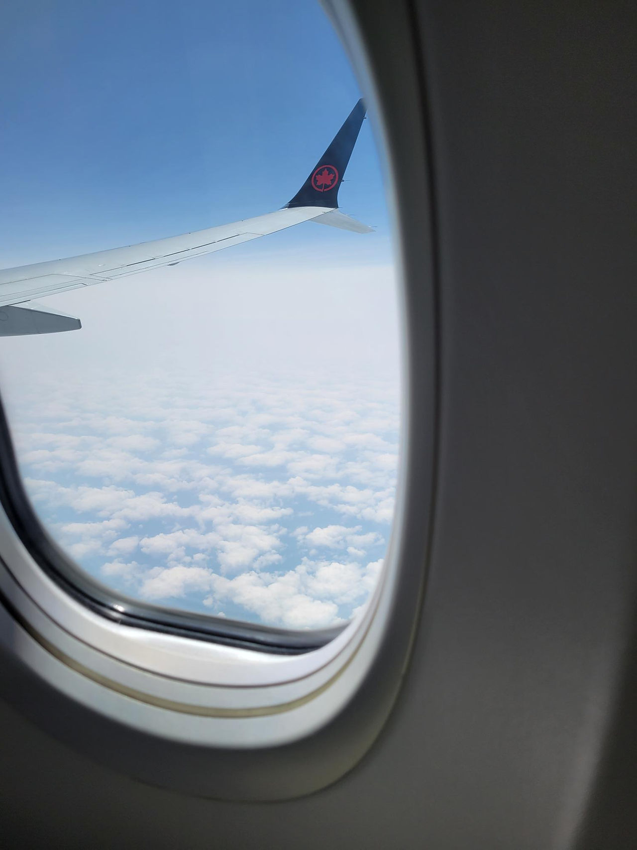 Above the clouds