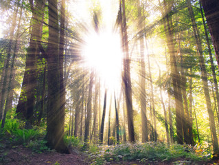 Let the Earth Strengthen You