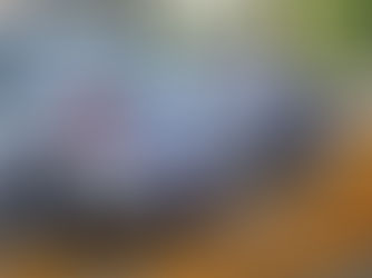 Por que alugar em uma locadora pequena como a Zencar é melhor do que nas grandes? 🚗✨