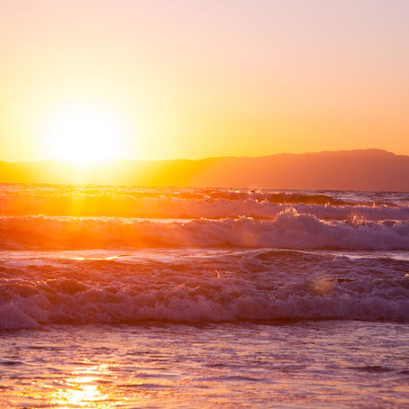 メキシコのザビエよりメッセージ/Message from Xavier in Mexico