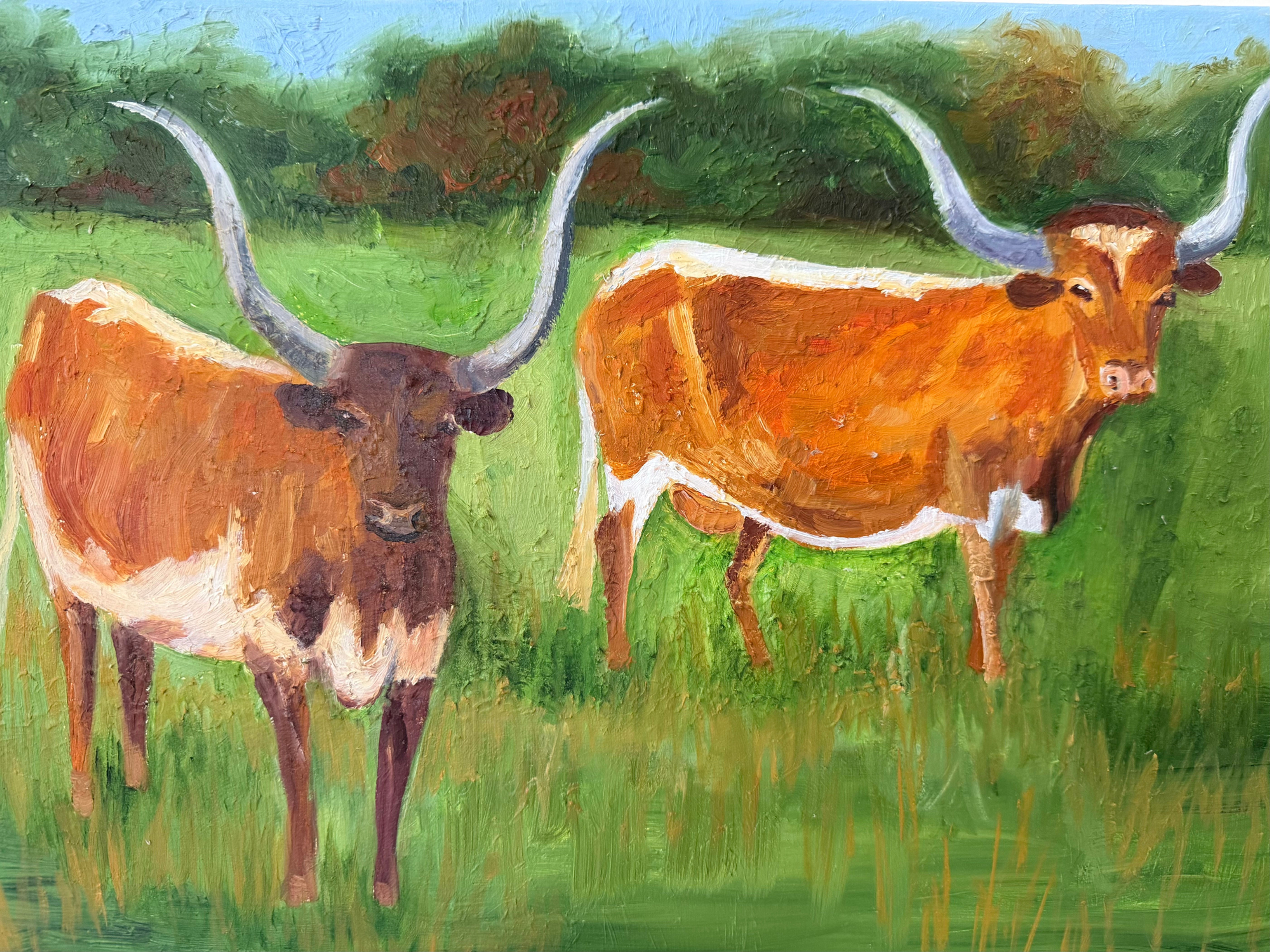 Majestic Longhorns by Veronique Jonas