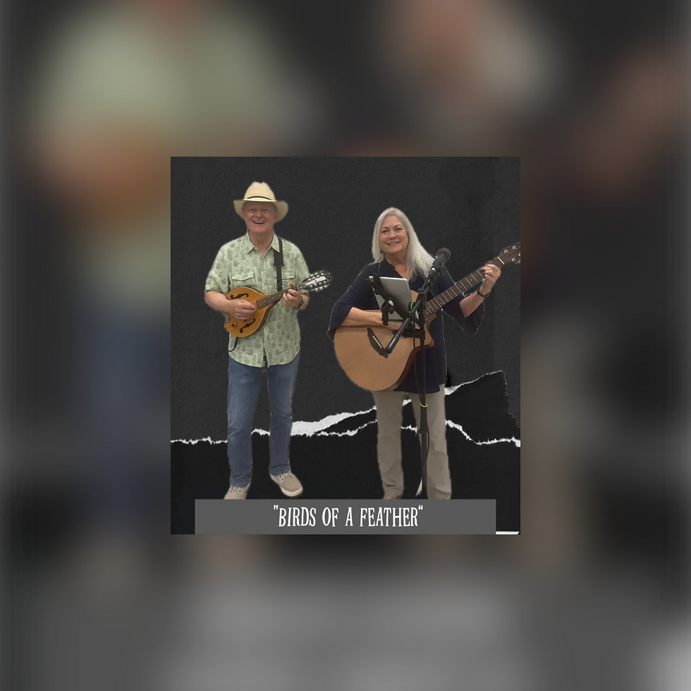 Music: Birds of a Feather