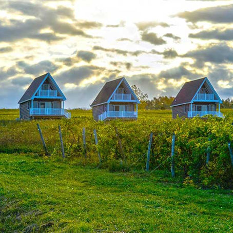 Visiting the Finger Lakes, New York in search of the historically famous Riesling from the area.