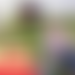 A Wine Oasis in Palisade, Colorado