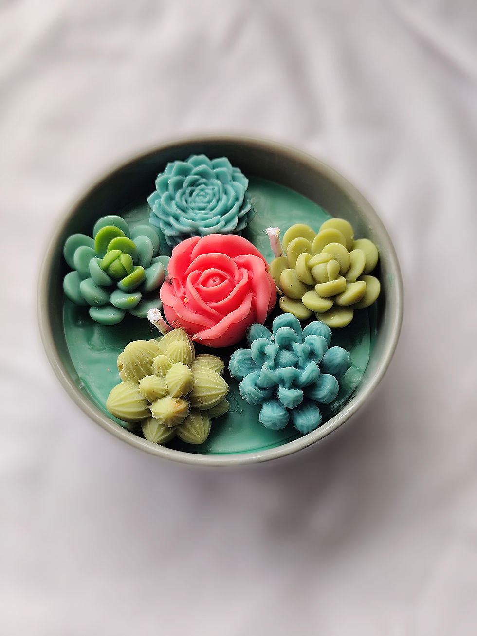 Miniatura: Jardín 
