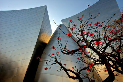 Spring at the Disney Concert Hall
