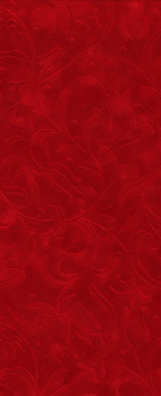 carte-da-parati-serie-texture-velluto-rosso_edited.jpg