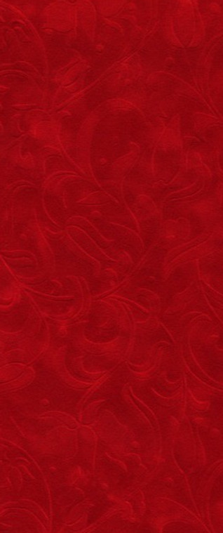 carte-da-parati-serie-texture-velluto-rosso_edited.jpg