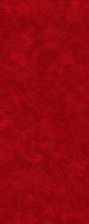 carte-da-parati-serie-texture-velluto-rosso_edited.jpg