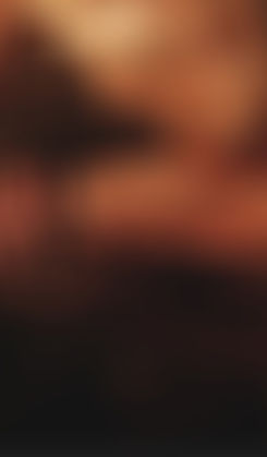 wallaper the revenant_edited.jpg