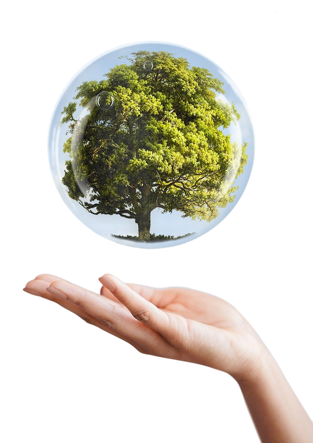 earth-day-campaign-hand-showing-tree-bubble-media-mix.png