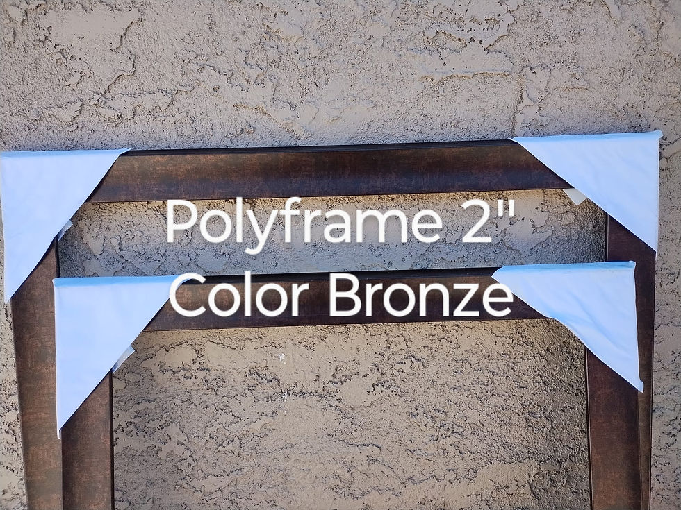 Marco Poly Frame de color Bronce de medida interior de 16X20