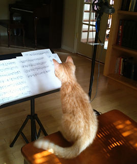 Tyrion checks out some Weiss tablature.jpeg