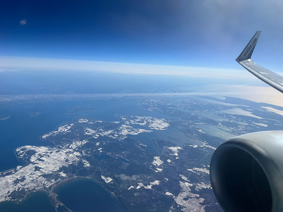 Cybersecurity incident - WestJet