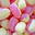 Krews Kandy