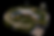 skylight hydrosolair.png