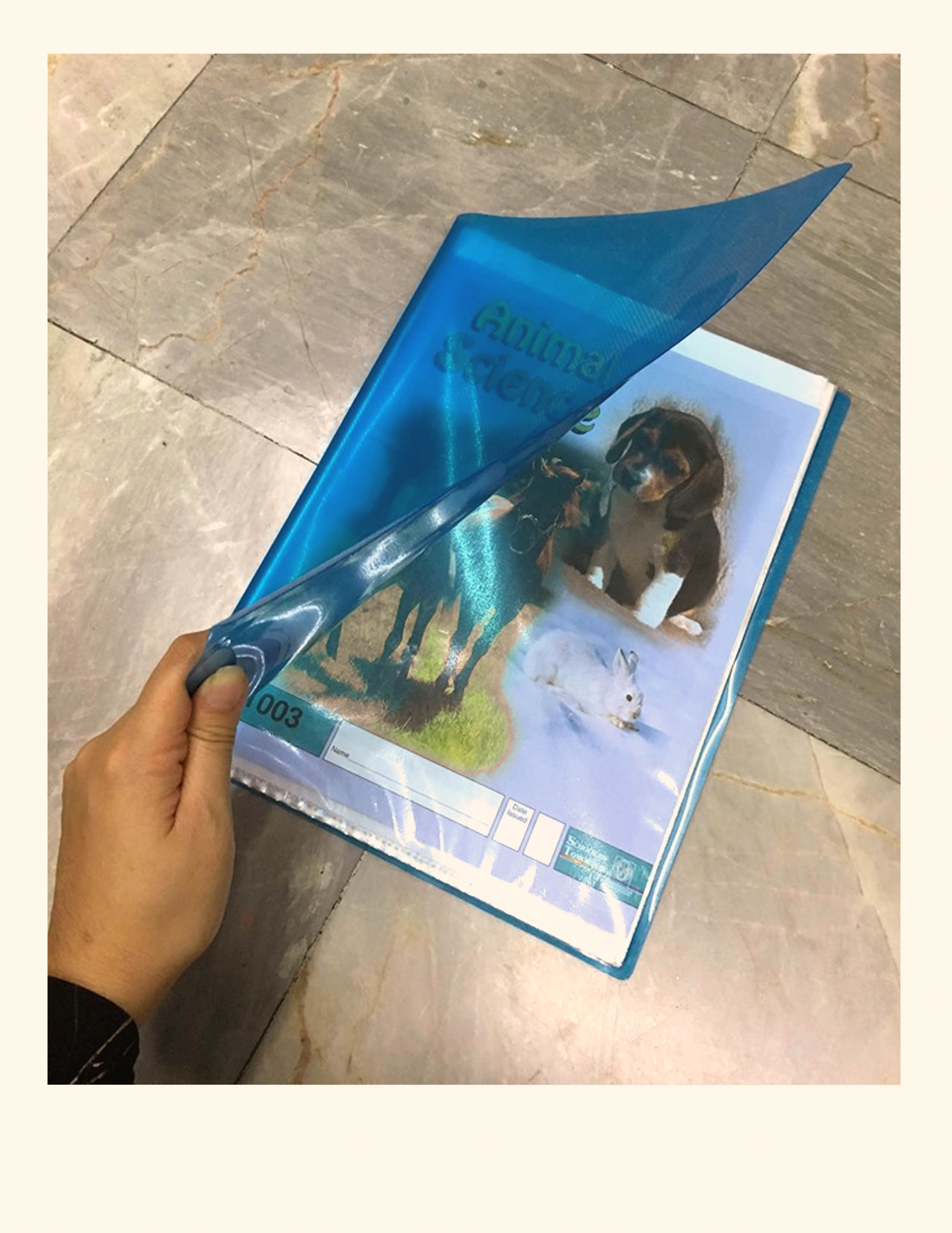 Clear Folder