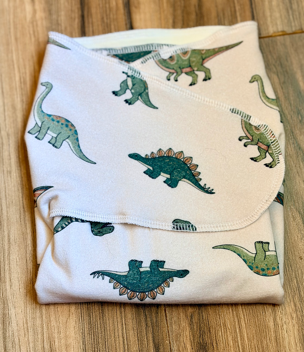 Creamy white preflat with a playful dinosaur print featuring green and blue dinosaurs in a soft illustrated style.