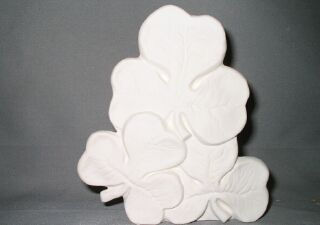 Shamrock group