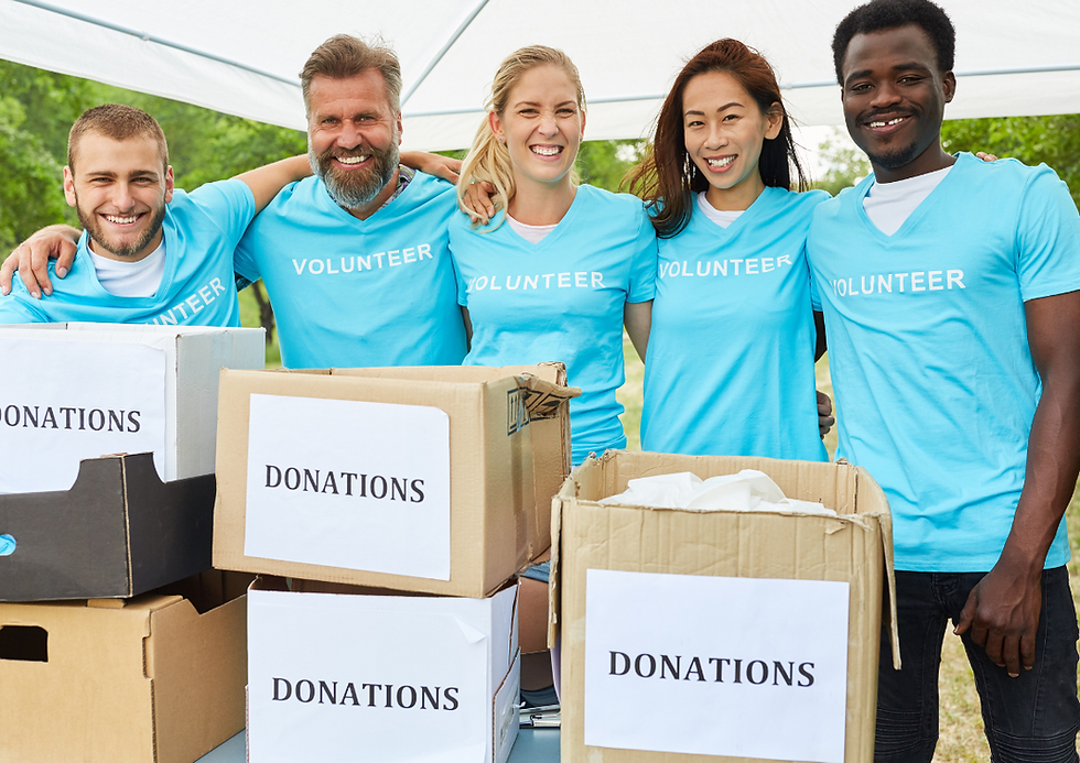 Expats integrating through volunteering