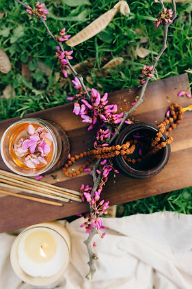 pexels-n-voitkevich-7078082 (1).jpg