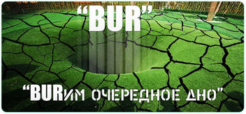 Рубрика "BUR" за февраль 2016