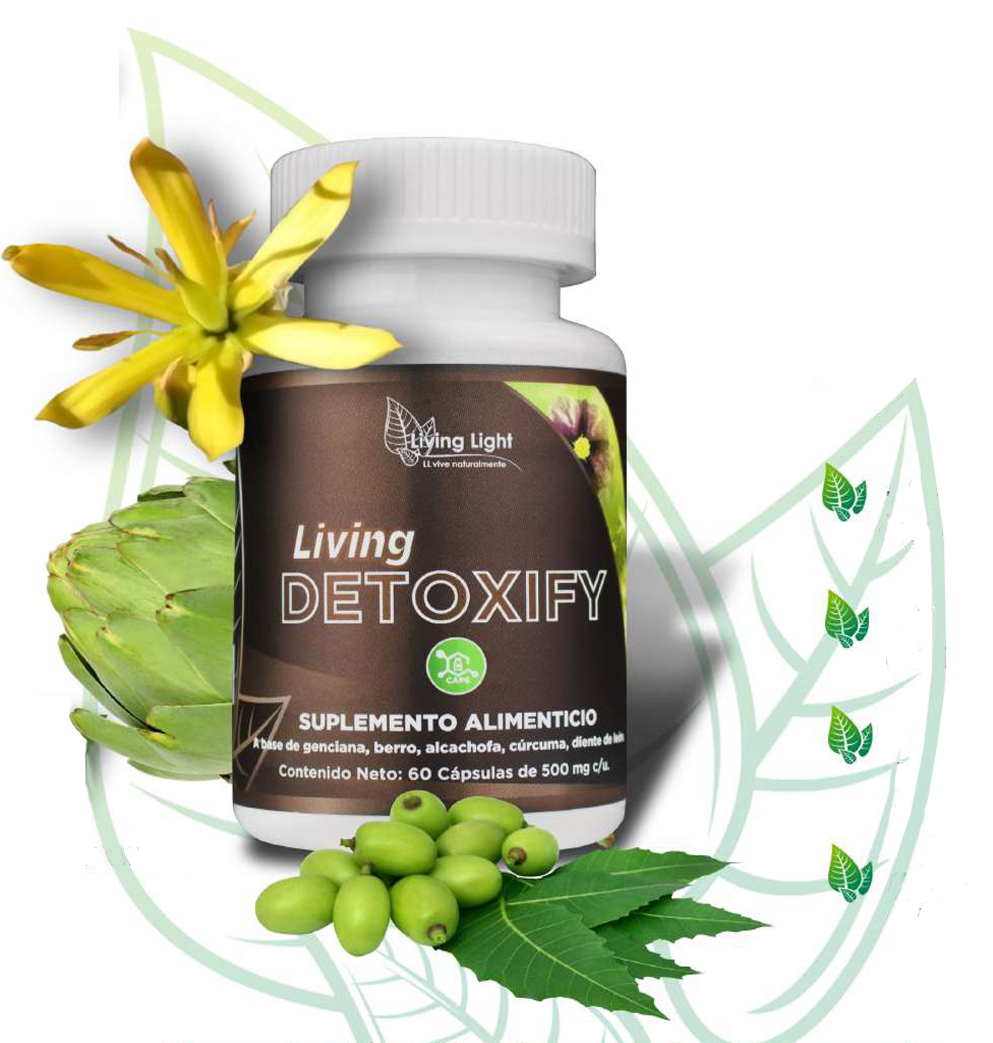 LIVING DETOXIFY