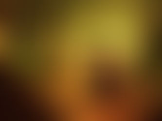 WHAT WAS THE BAAL SHEM TOV PRAISED FOR?