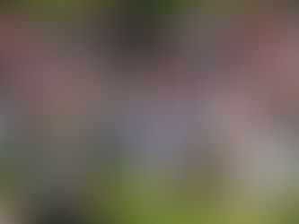 Education Should be About More Than Exams