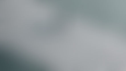 ARTICLE: Managing Your Career in a Crisis