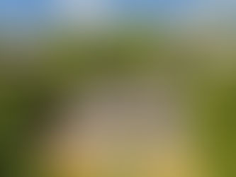 Manor House with Charlotte Brontë Links for Sale