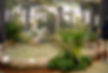 rainforest-12