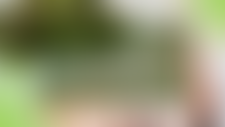 Abordagem Integrada para Tratamento da Dependência Química